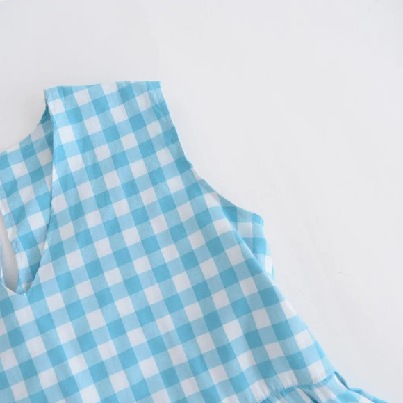 Blue  and White Gingham V-Neck Sleeveless Maxi Dress - Picture 12 of 14